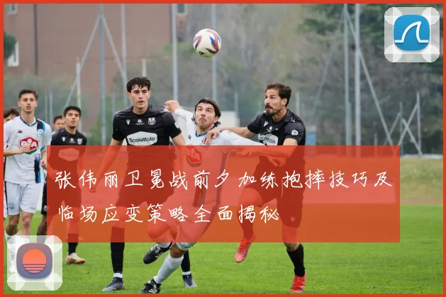 张伟丽卫冕战前夕加练抱摔技巧及临场应变策略全面揭秘