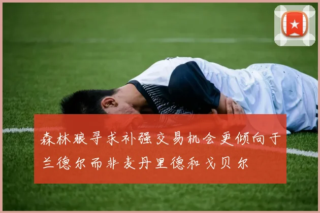 森林狼寻求补强交易机会更倾向于兰德尔而非麦丹里德和戈贝尔