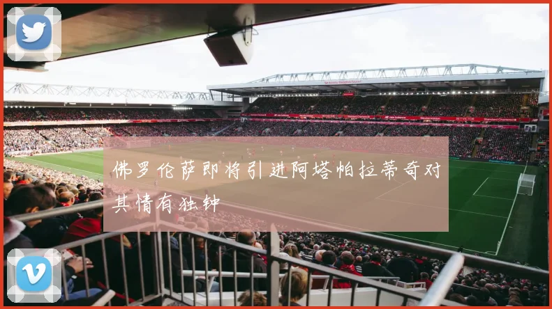 佛罗伦萨即将引进阿塔帕拉蒂奇对其情有独钟
